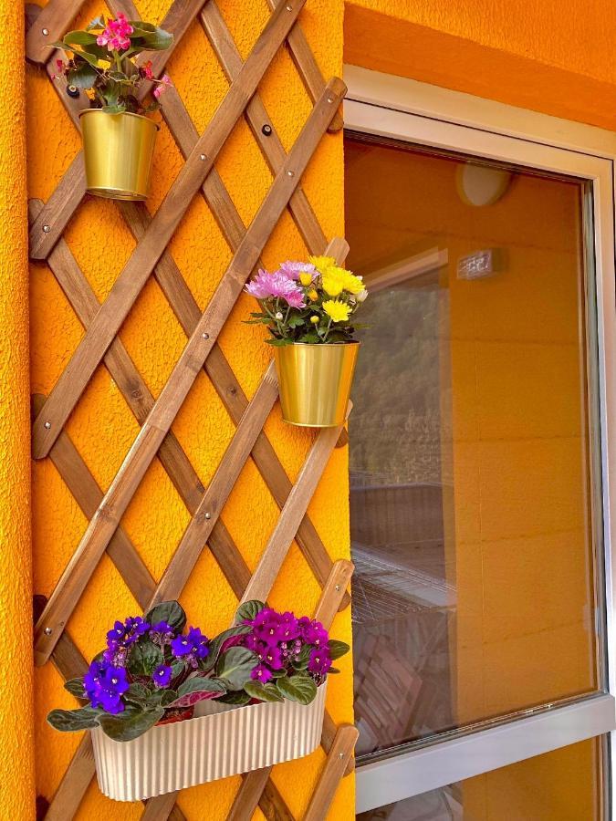 Amazing Brownie By Miro Apartment Sinaia Exterior foto