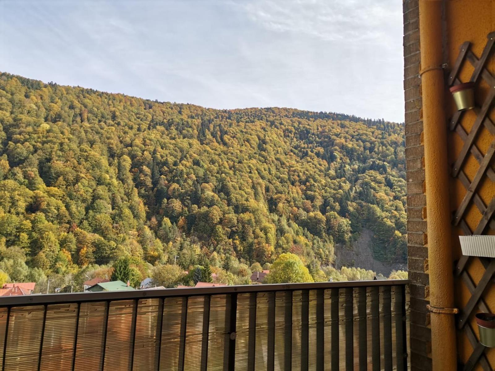 Amazing Brownie By Miro Apartment Sinaia Exterior foto